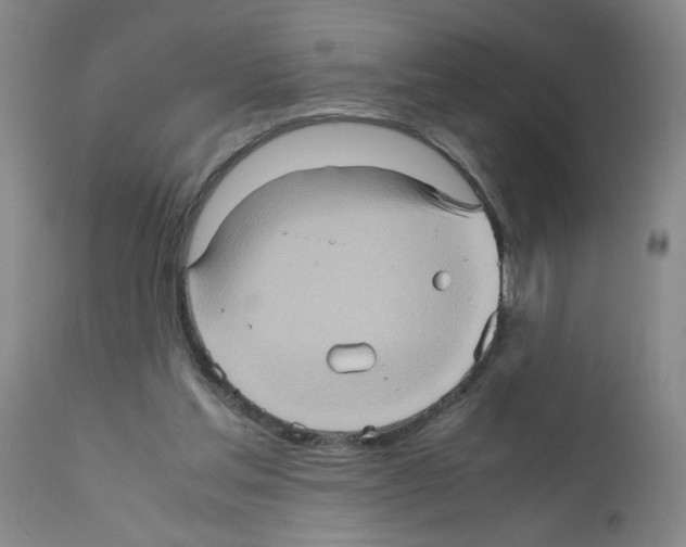 X0000112090205200909151144
