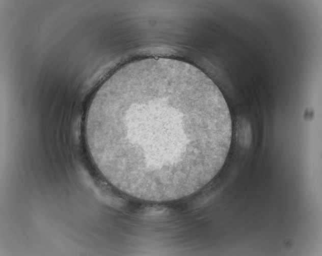 X0000112090206200909151144