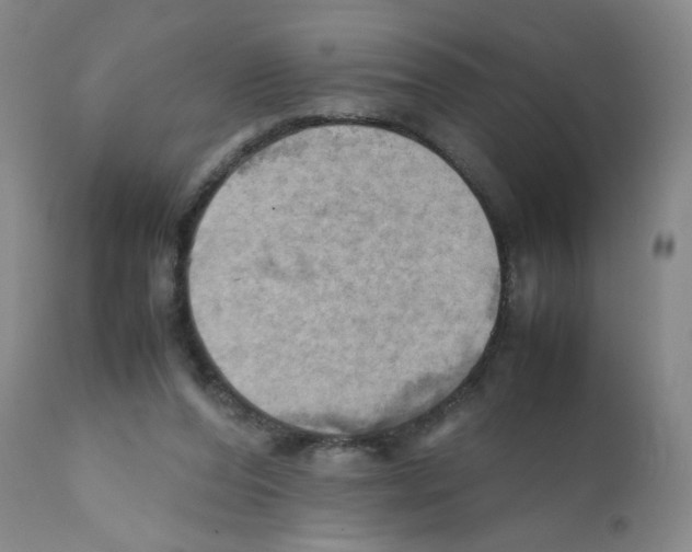 X0000112090208200909151144