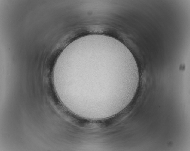 X0000112090209200909151144