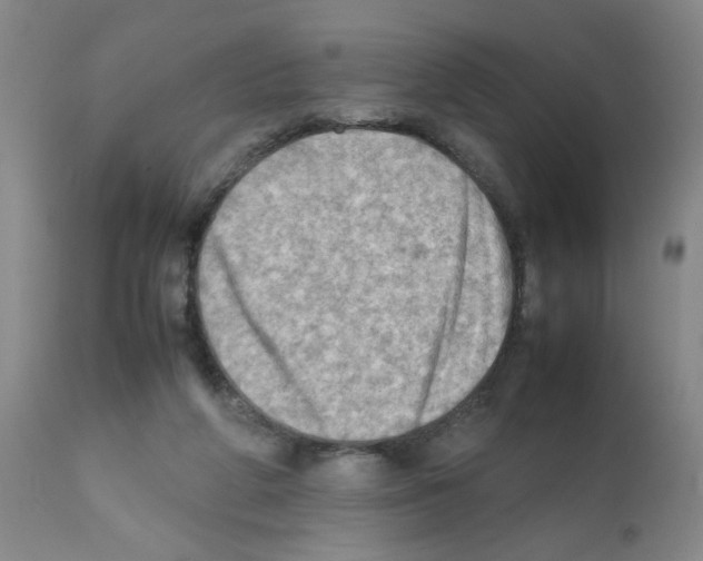 X0000112090210200909151144