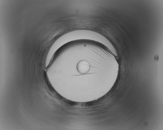X0000112090211200909151144