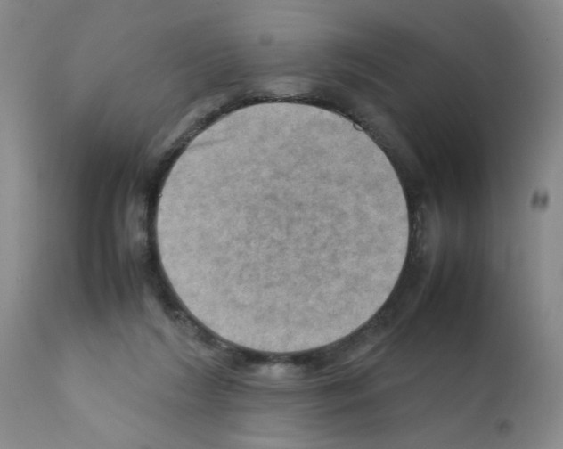 X0000112090212200909151144