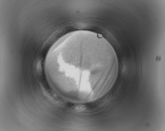 X0000112090214200909151144
