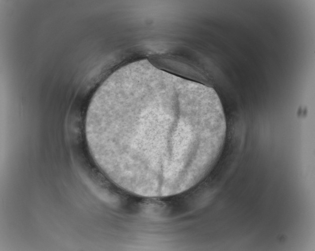 X0000112090215200909151144