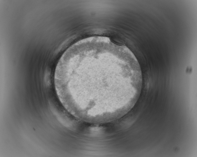 X0000112090216200909151144