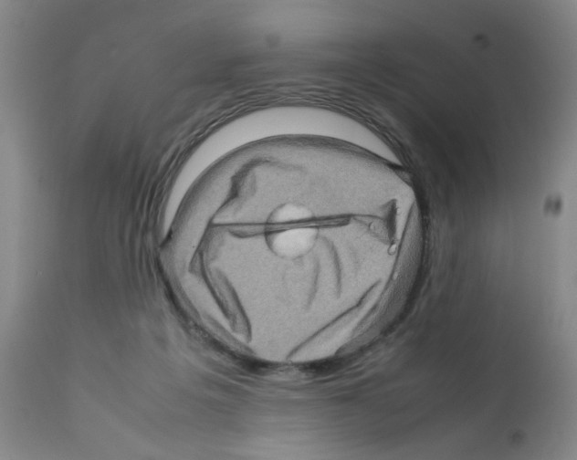 X0000112090217200909151144
