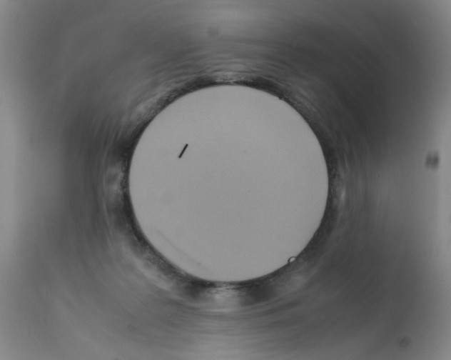 X0000112090219200909151144