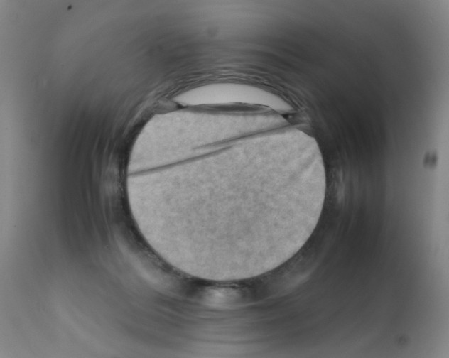 X0000112090220200909151144