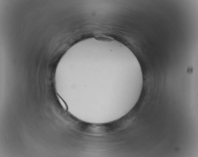 X0000112090221200909151144