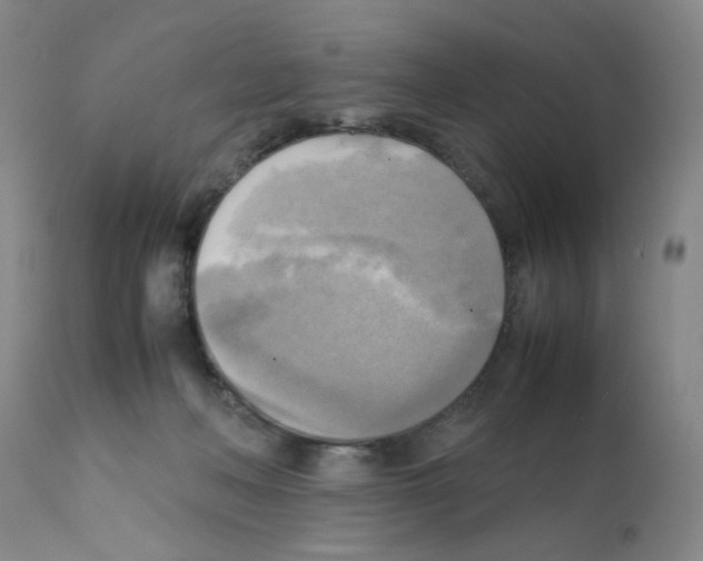 X0000112090222200909151144