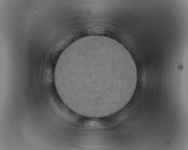 X0000112090224200909151144