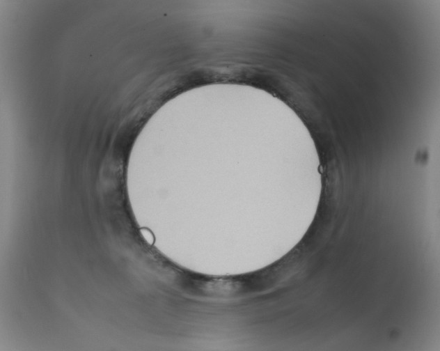 X0000112090225200909151144
