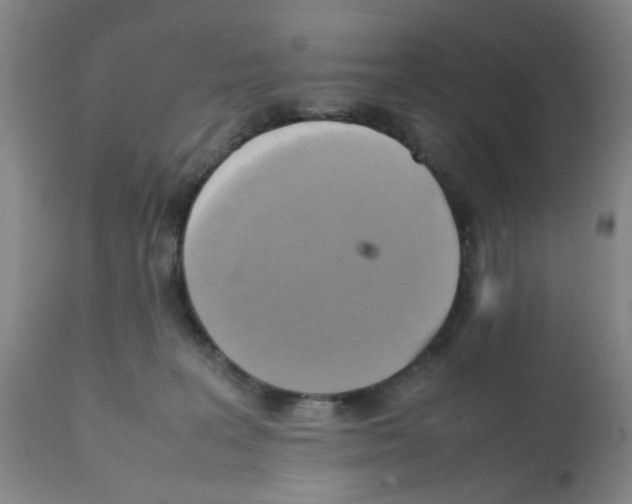 X0000112090227200909151143
