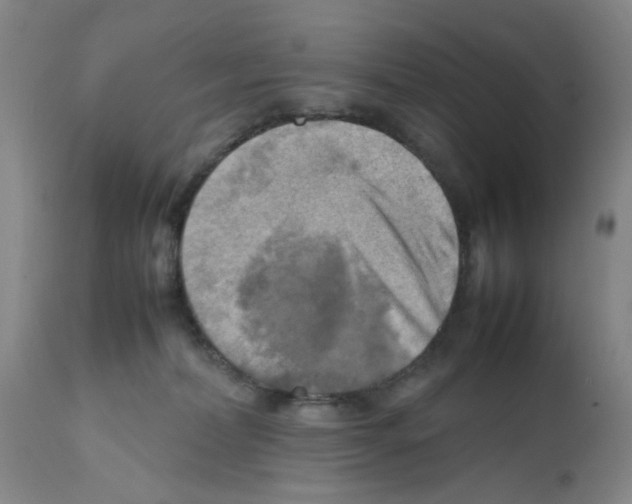 X0000112090228200909151143