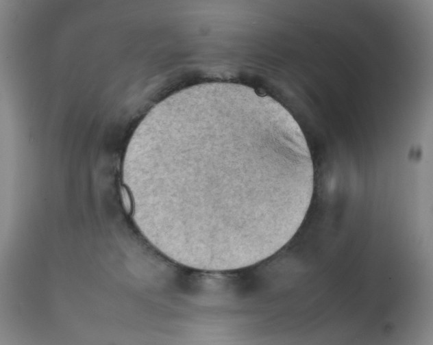 X0000112090229200909151143