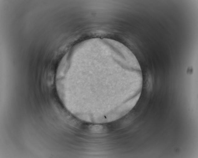 X0000112090230200909151143