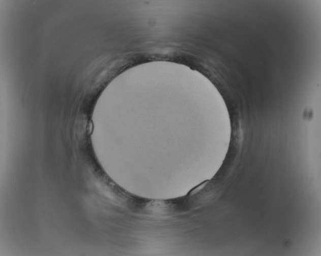 X0000112090231200909151143