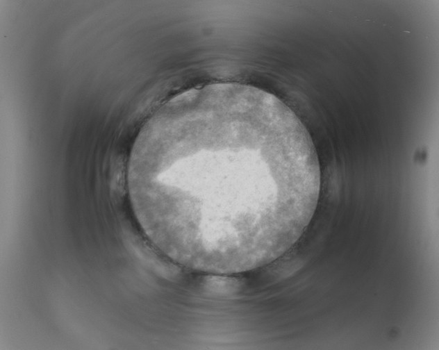 X0000112090234200909151143