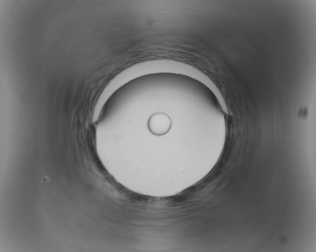 X0000112090235200909151143