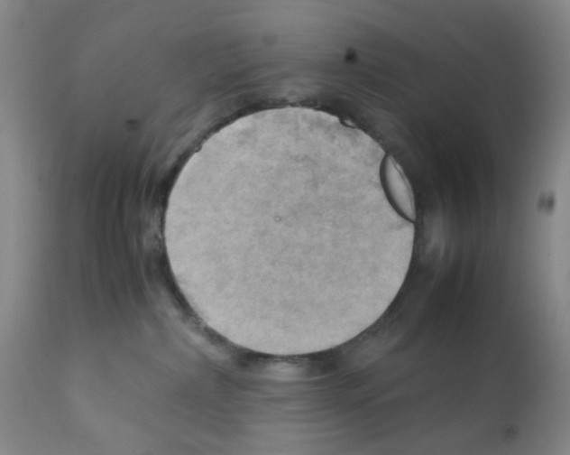 X0000112090236200909151143