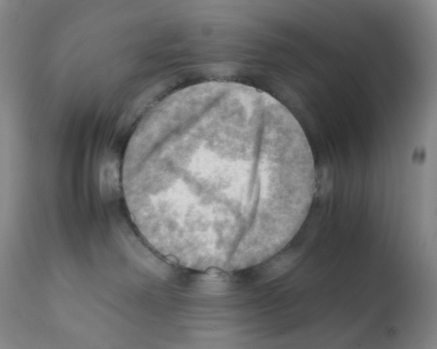 X0000112090238200909151143