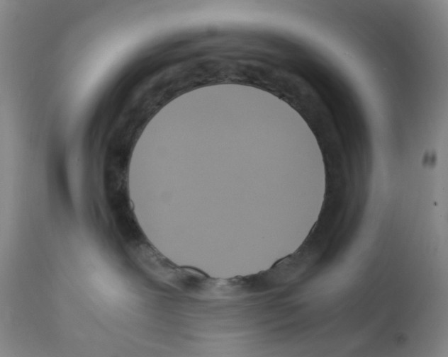 X0000112090239200909151143