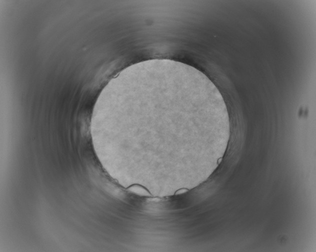 X0000112090240200909151143