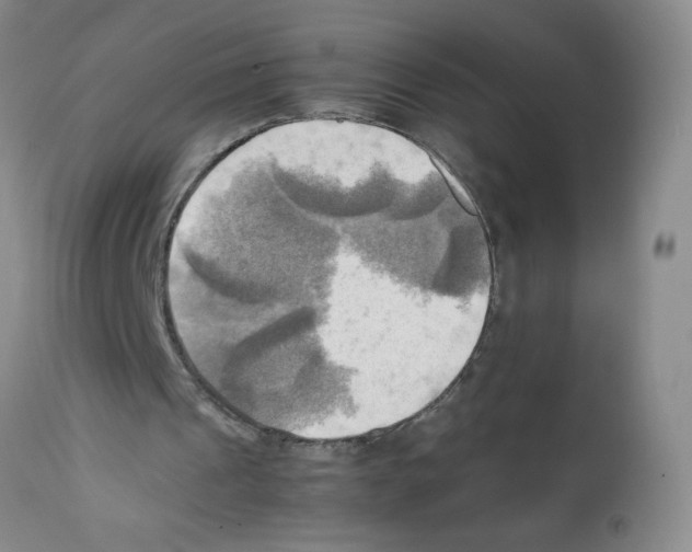 X0000112090241200909151143