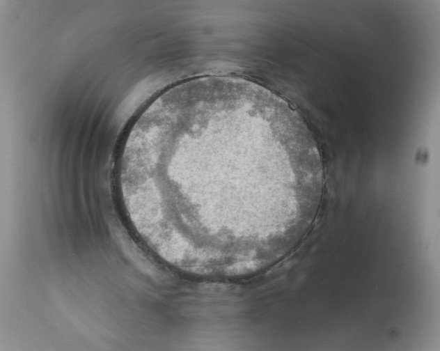 X0000112090242200909151143