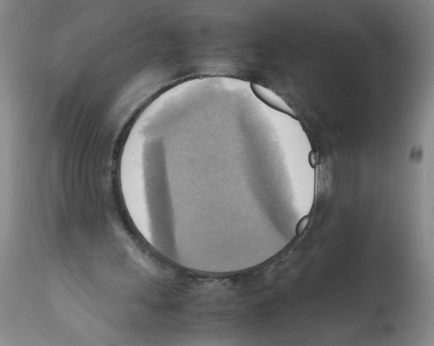 X0000112090243200909151143