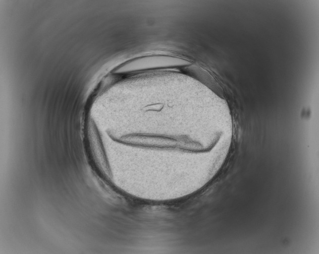 X0000112090244200909151143