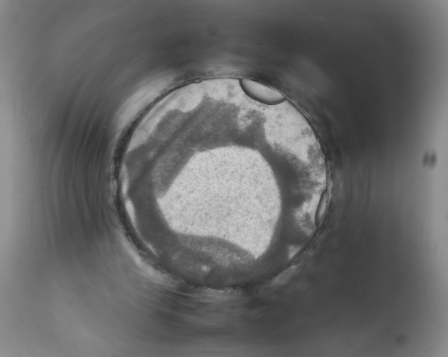 X0000112090245200909151143