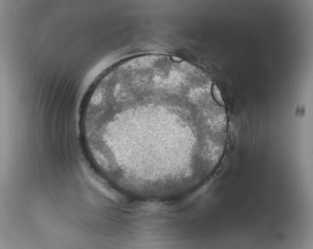 X0000112090246200909151143