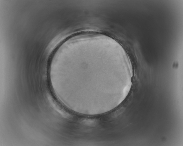 X0000112090247200909151143