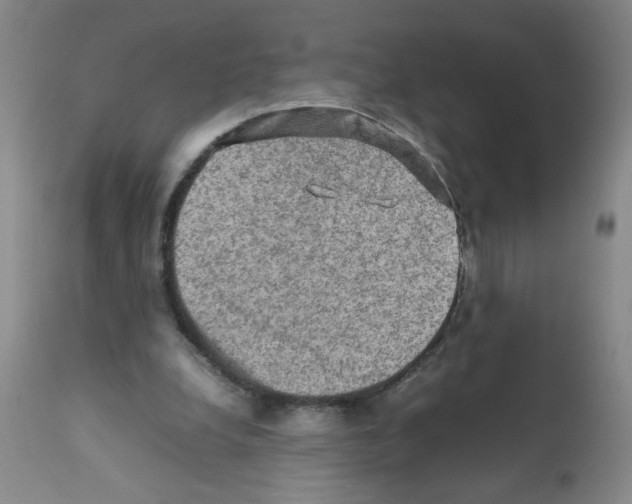 X0000112090248200909151143