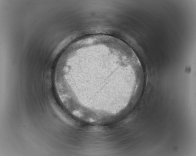 X0000112090250200909151143