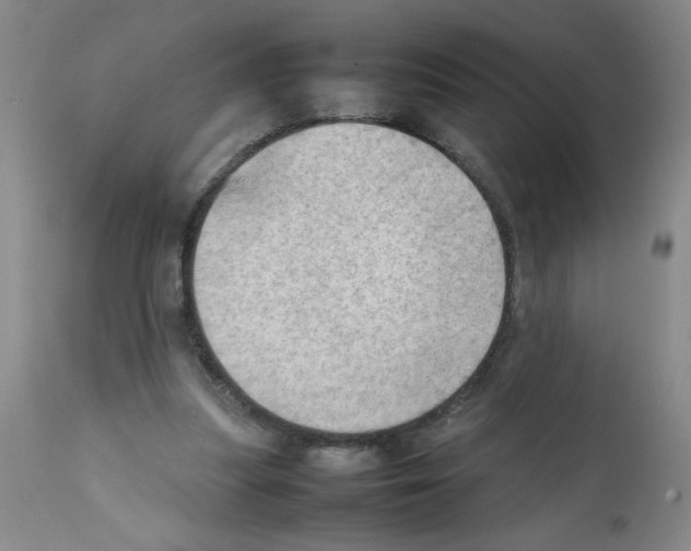 X0000112090251200909151143