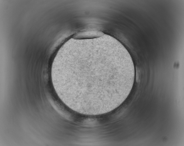 X0000112090252200909151143