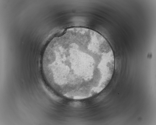 X0000112090253200909151143