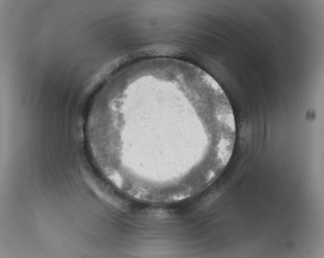 X0000112090254200909151143
