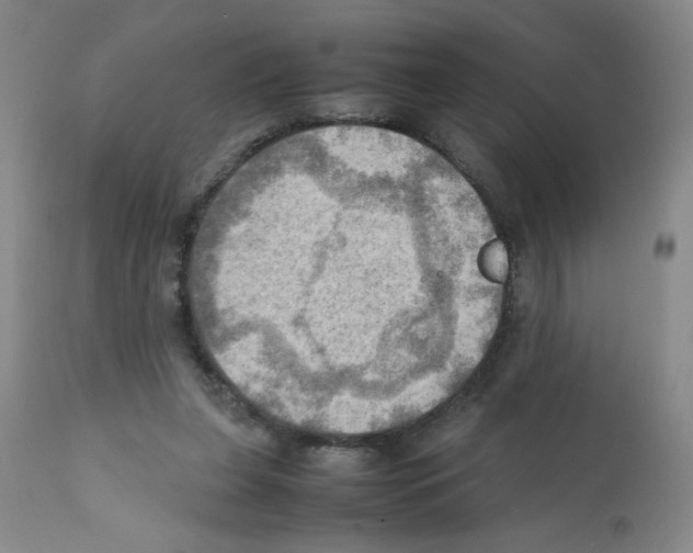 X0000112090255200909151143