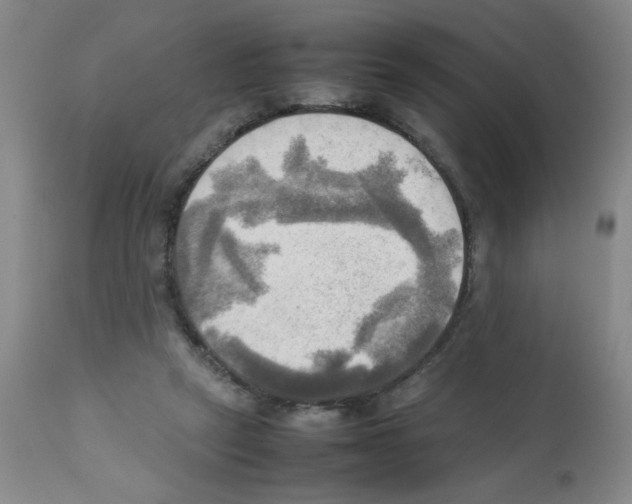 X0000112090257200909151143