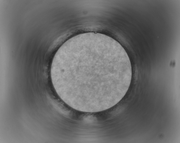 X0000112090258200909151143