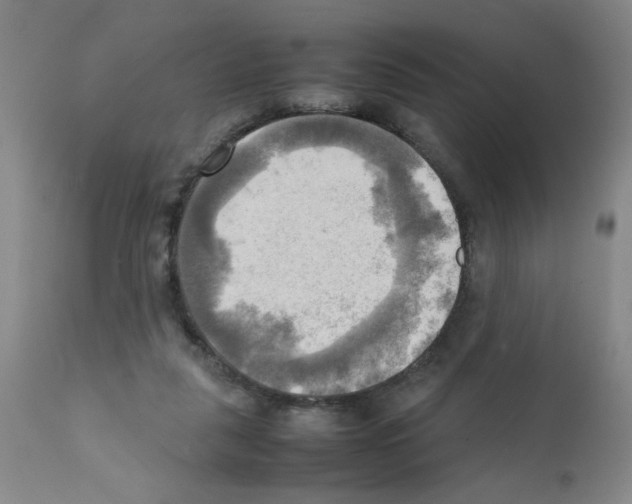 X0000112090259200909151143
