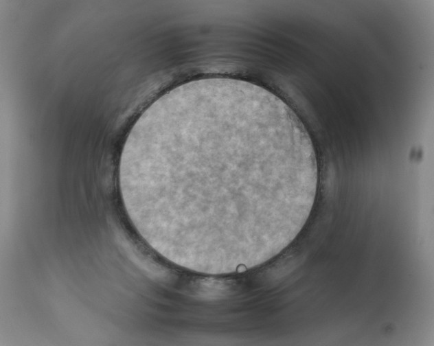 X0000112090261200909151143