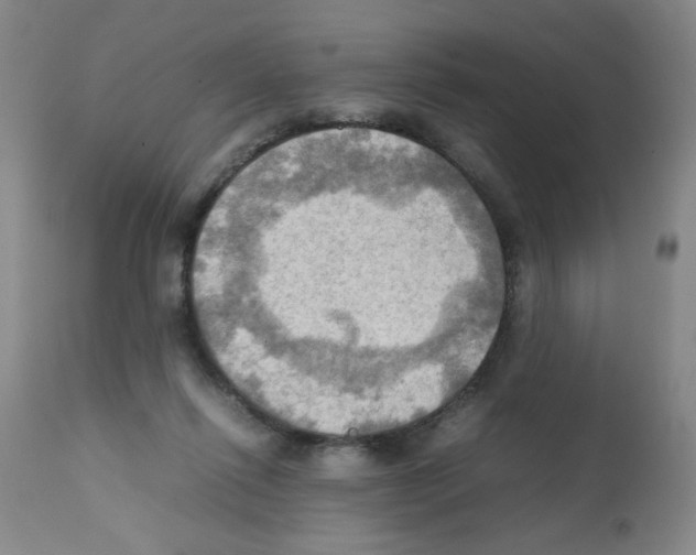 X0000112090262200909151143