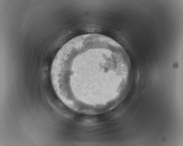 X0000112090263200909151143