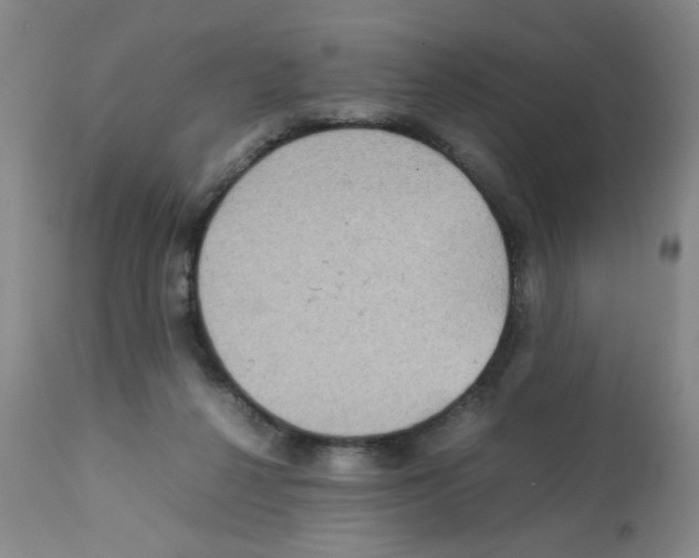 X0000112090264200909151143