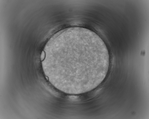 X0000112090265200909151143